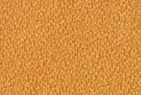 CB 09 Golden Orchard